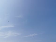 -大湾区中央湿地公园