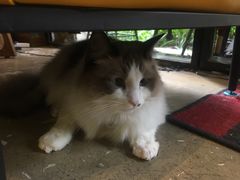 -咖法森林·咖啡  酒吧(天河店)