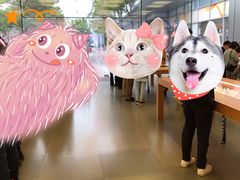-Apple零售店(深圳益田假日广场店)