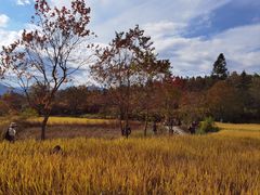 -塔川景区