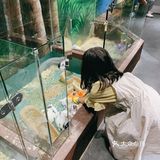 和小动物互动起来