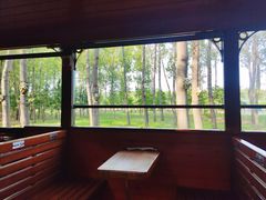 -合肥滨湖国家森林公园