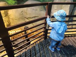 -酷嗒动物文化乐园(cutezoo西溪乐天城店)