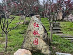 -广州市帽峰山景区