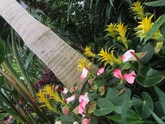 -北京植物园-展览温室