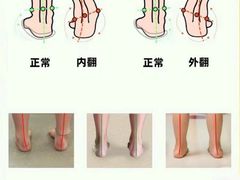 -锐动健身游泳(博地中心店)