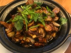 生啫黄鳝-辉记潮汕海鲜砂锅粥(林和西店)