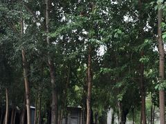 -哈尔滨师范大学(江南校区)