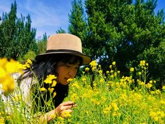 -长白岛森林公园