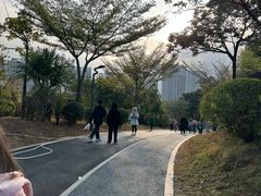 -聚龙山公园