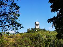 -深圳国际园林花卉博览园