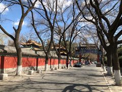 -北京国子监胡同