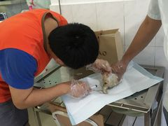 -畜牧兽医站(共江路店)