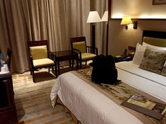 -惠州惠阳丽景国际花园酒店(市政广场店)