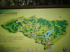 导游图-成都大熊猫繁育研究基地