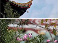 -望江楼公园