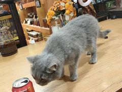 -蜜蜂家的红茶馆(华府店)