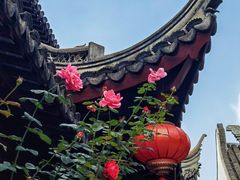 -檀园