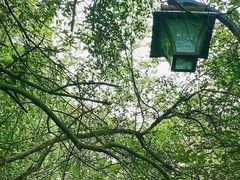 -杭州半山国家森林公园