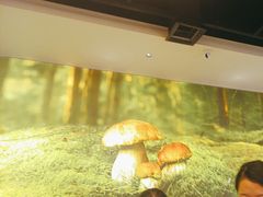 -椒王火锅(厚街万达店)