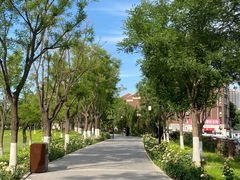 -西海子公园