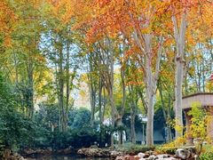 -河南省黄河迎宾馆