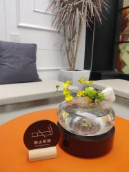 -时尚殿堂salon