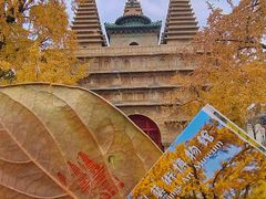 -北京石刻艺术博物馆(五塔寺)