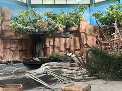 -泉州海丝野生动物世界