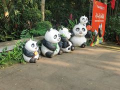 -海南热带野生动植物园
