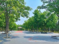 -绿堤公园
