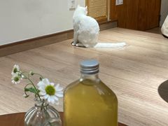 -有猫主题·治愈系猫咖(曾厝垵店)