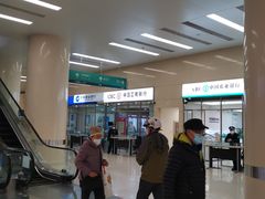 -中国人民解放军总医院