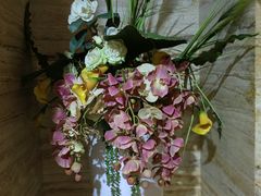 -益健·足疗汗蒸SPA(芙蓉广场店)