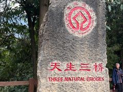 -重庆武隆天生三桥风景区-神鹰天坑