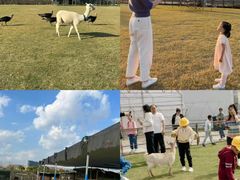 -栖露营camping·天幕烧烤·团建拓展·采摘营地