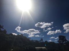 -布里斯班南岸公园