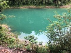 -广州市流溪河国家森林公园