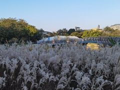 -怡海公园(桂城街道)