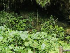 -海口火山口国家地质公园