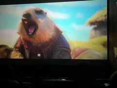 -飞扬影城(正佳IMAX店)