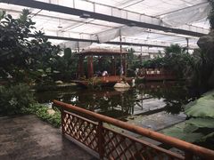 iphone_upload_pic-汤山翠谷生态餐厅