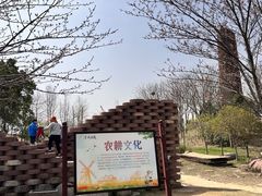 -金卉庄园