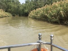 -大湾区中央湿地公园