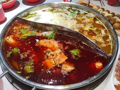 酸菜鸳鸯锅-蜀滋香鲜鱼美蛙火锅(339店)