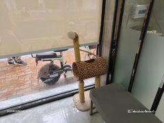-半岛宠物医院24小时(白果林店)