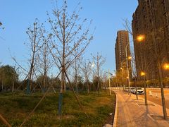 -坝河休闲公园