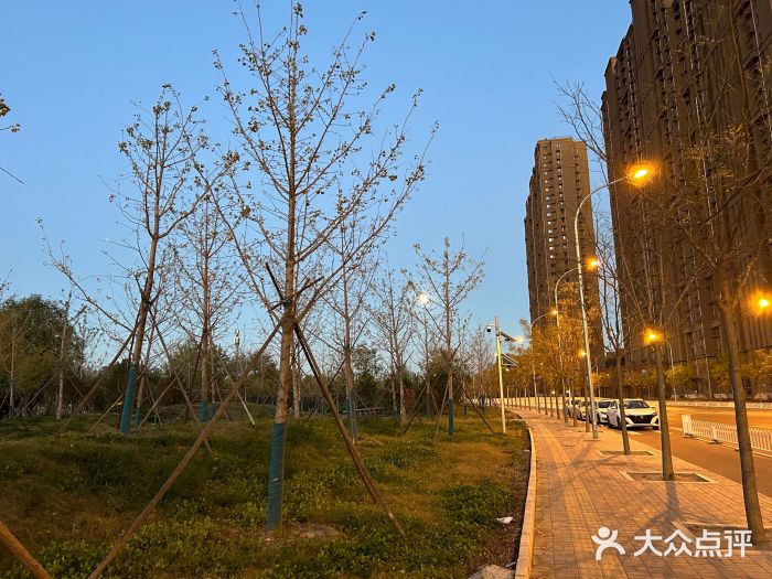 坝河休闲公园图片