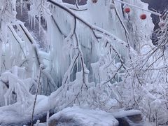 -黑龙潭风景区