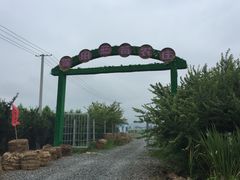 -森田蓝莓采摘园